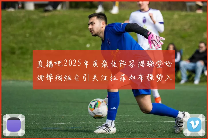 直播吧2025年度最佳阵容揭晓登哈姆锋线组合引关注拉菲加布强势入选