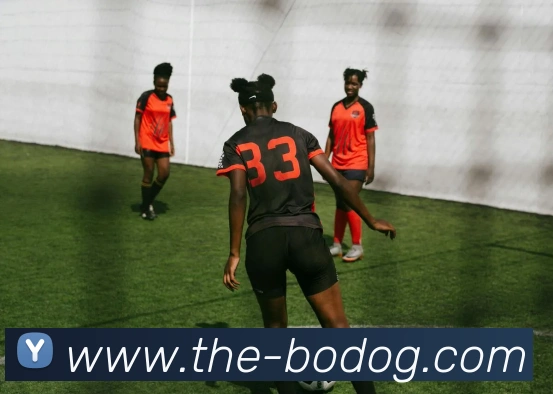 博狗娱乐APP 体育赛事宣传图